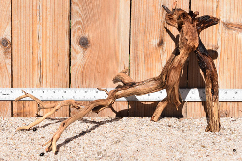 Manzanita #4085 18"x11"x11"