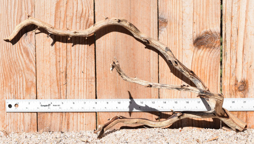Manzanita #4086 21"x7"x10"