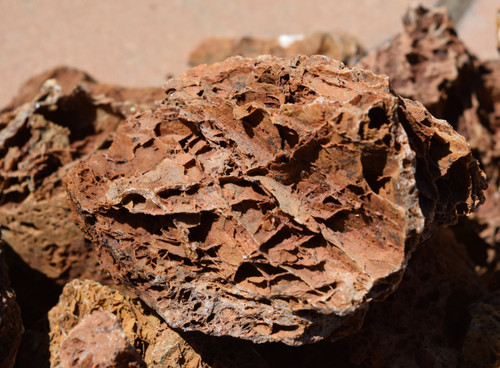 5lb Maple Leaf Stone