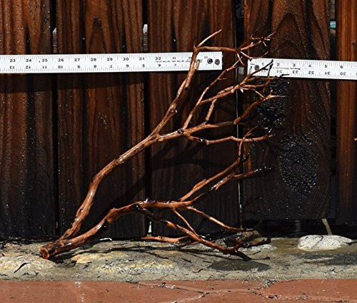 Random 16"-20" piece of Manzanita