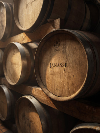 Barrel cellar visual for Janasse foudre and demi-muid aging