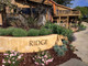 2019 Ridge Vineyards Lytton Springs Zinfandel (95JD)