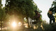 Hand harvest at Darioush