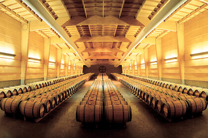 Vina Almaviva estate in Puente Alto