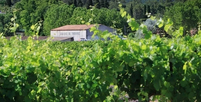 Mediterranean domaine and vineyard