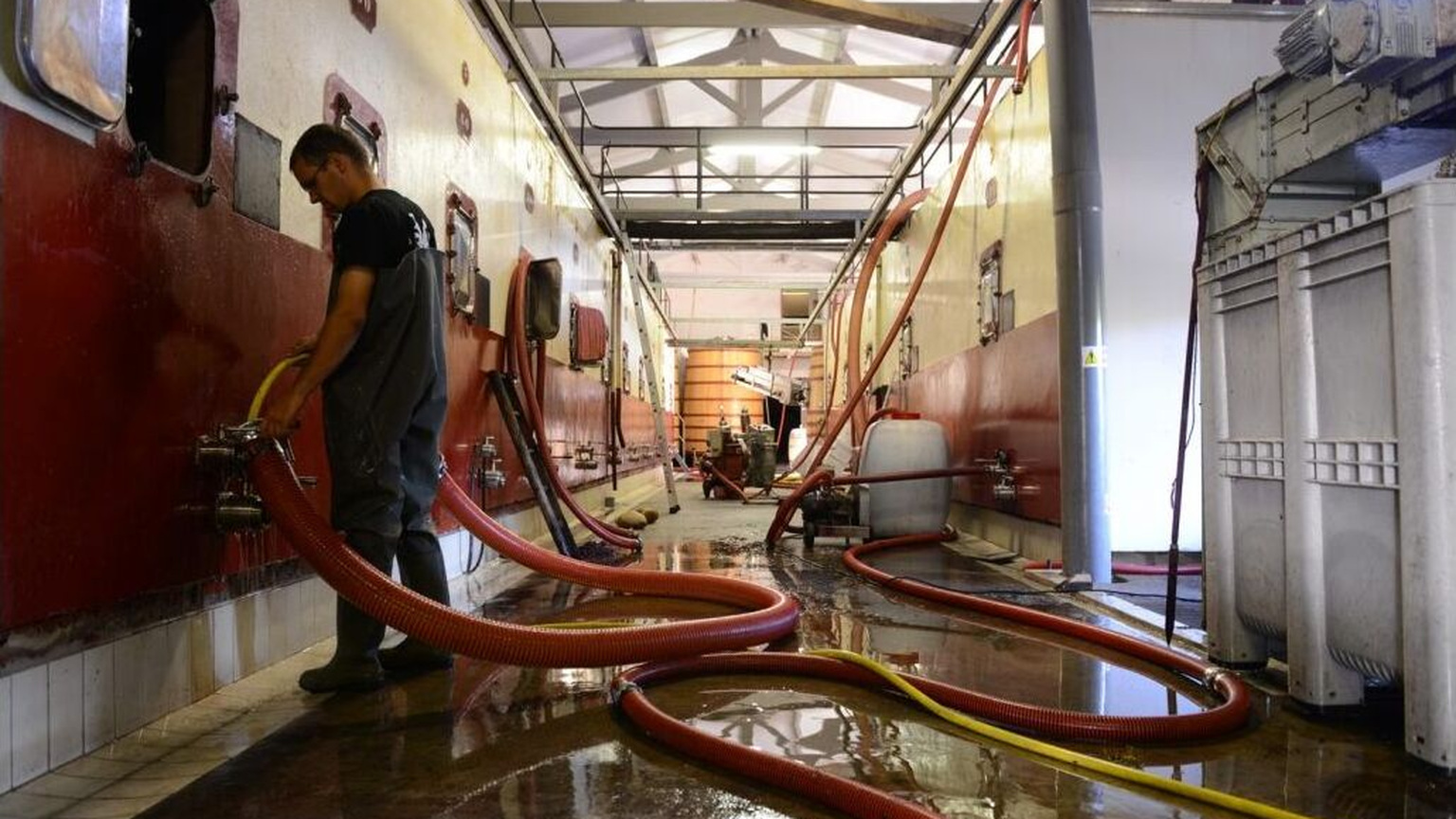 Cellar work at Domaine de la Janasse