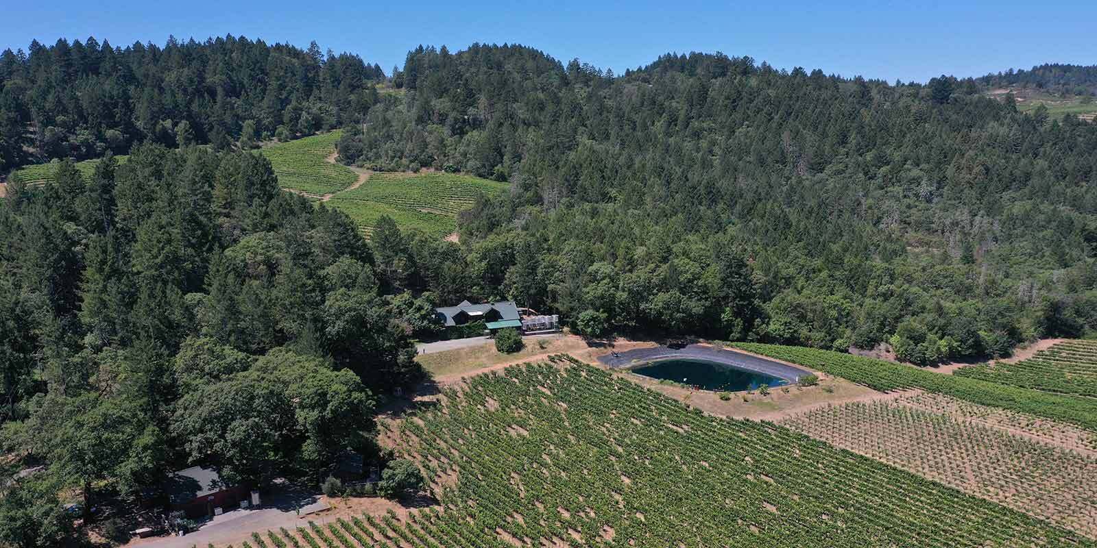Keenan Vineyards