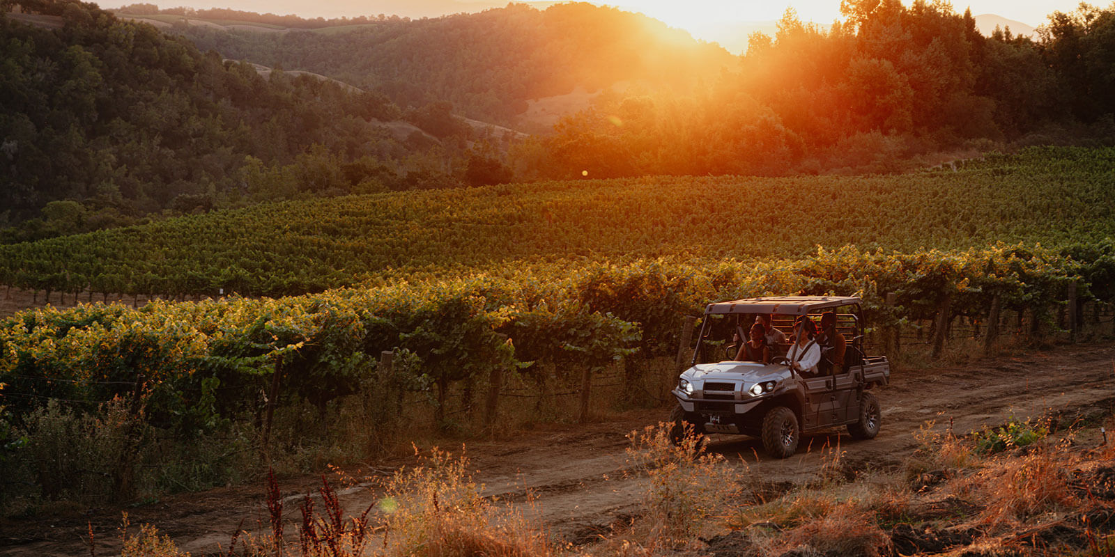 Hess Persson estate vineyards