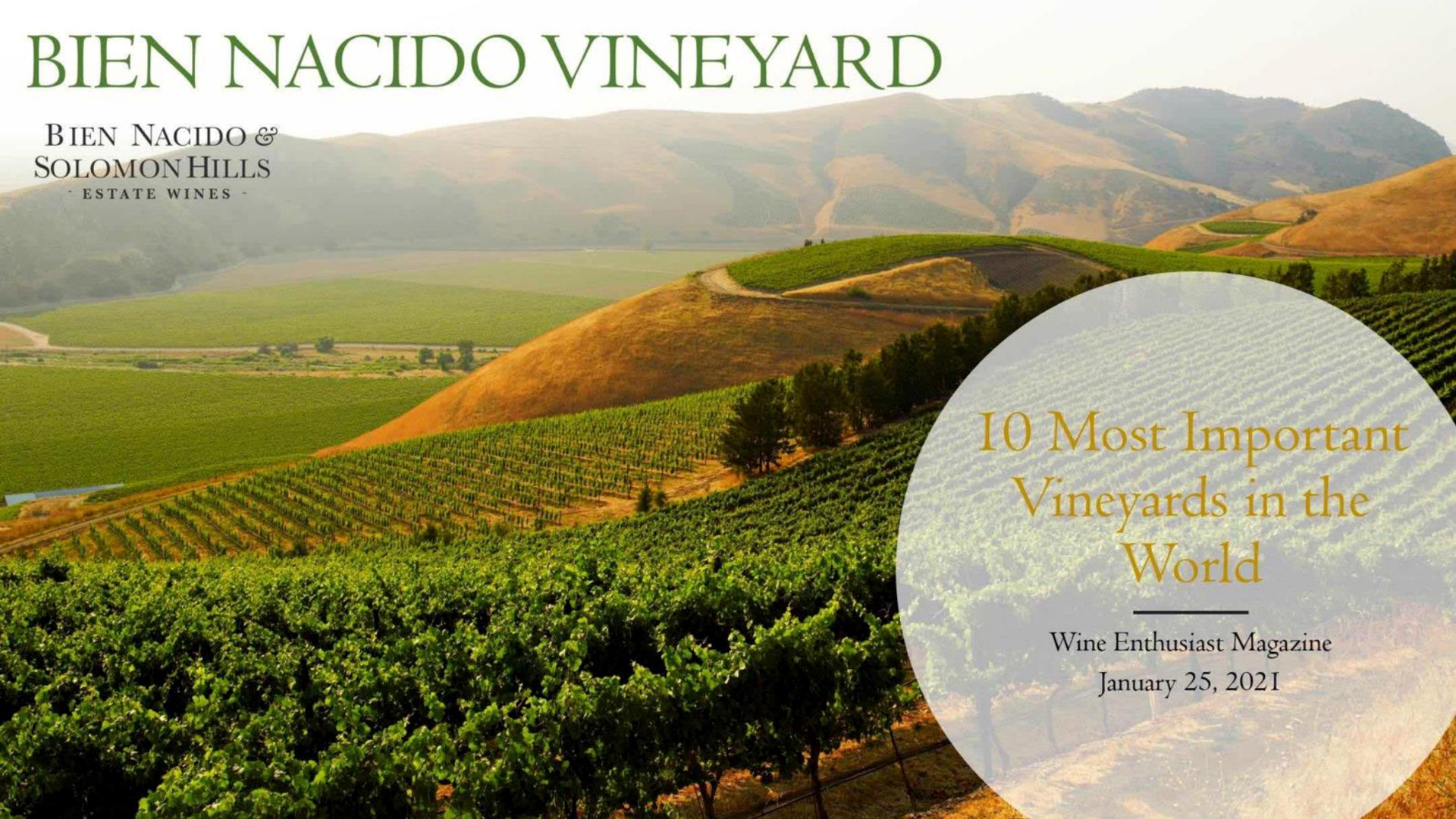 Bien Nacido Vineyard in the Santa Maria Valley