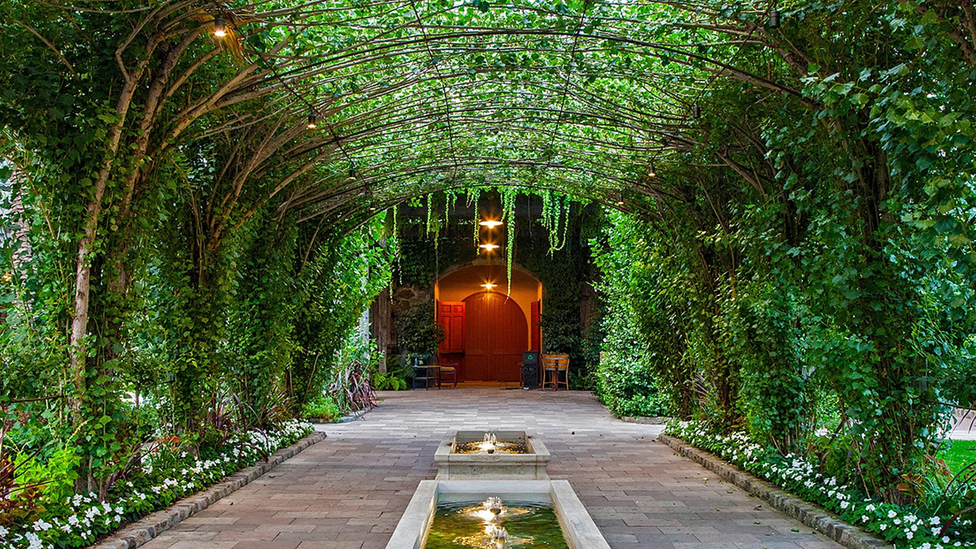 Estate entry trellis at Caymus Vineyards in Napa Valley