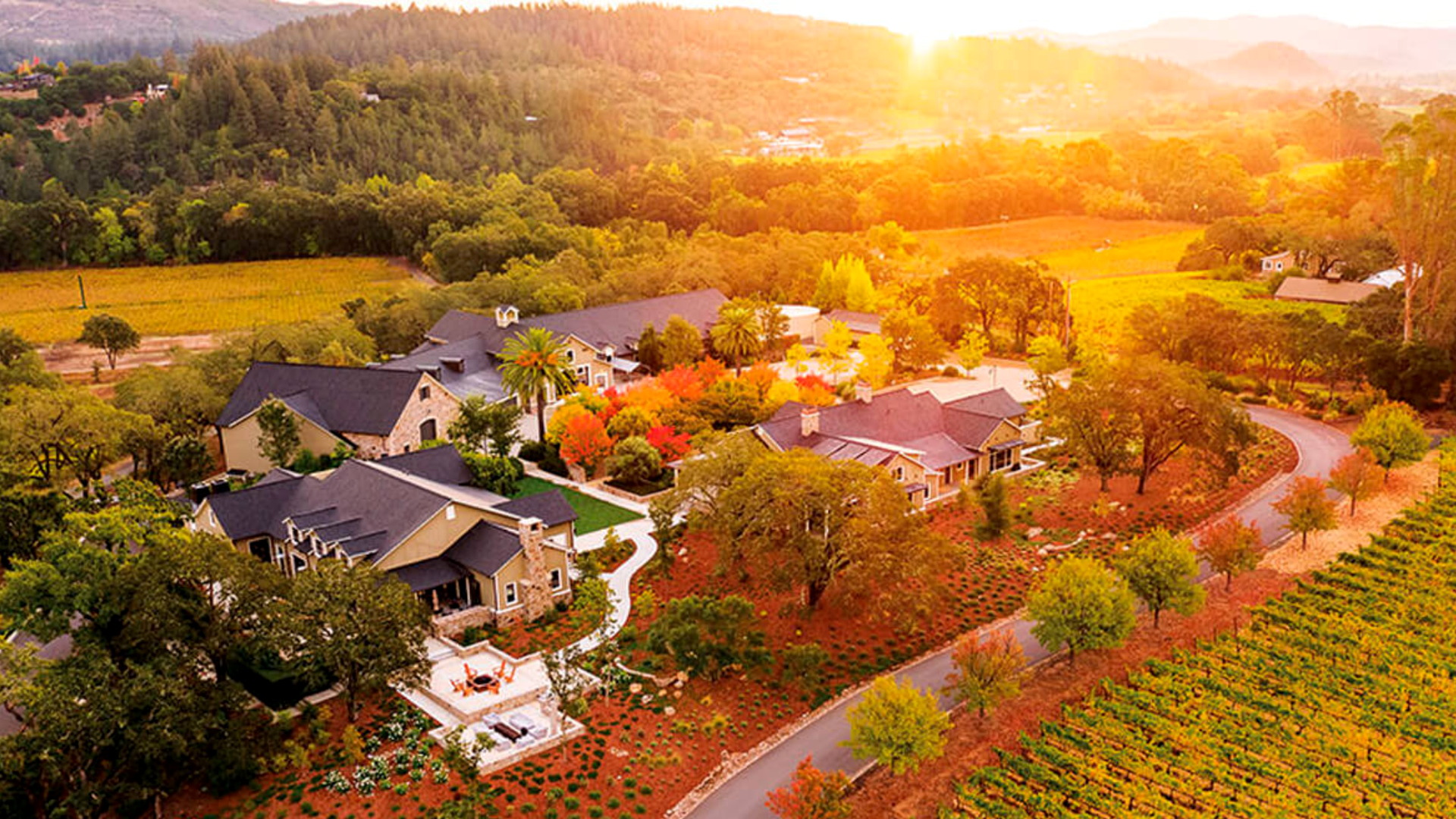 Napa Valley estate landscape