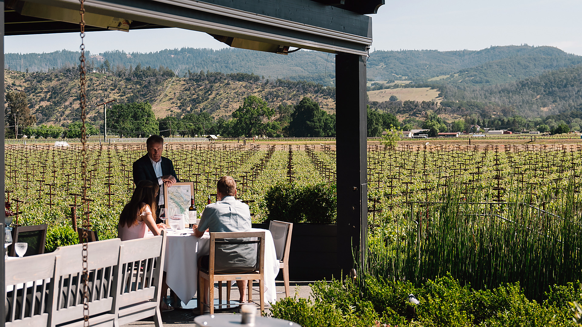 Heitz Cellar vineyard terrace in Napa Valley