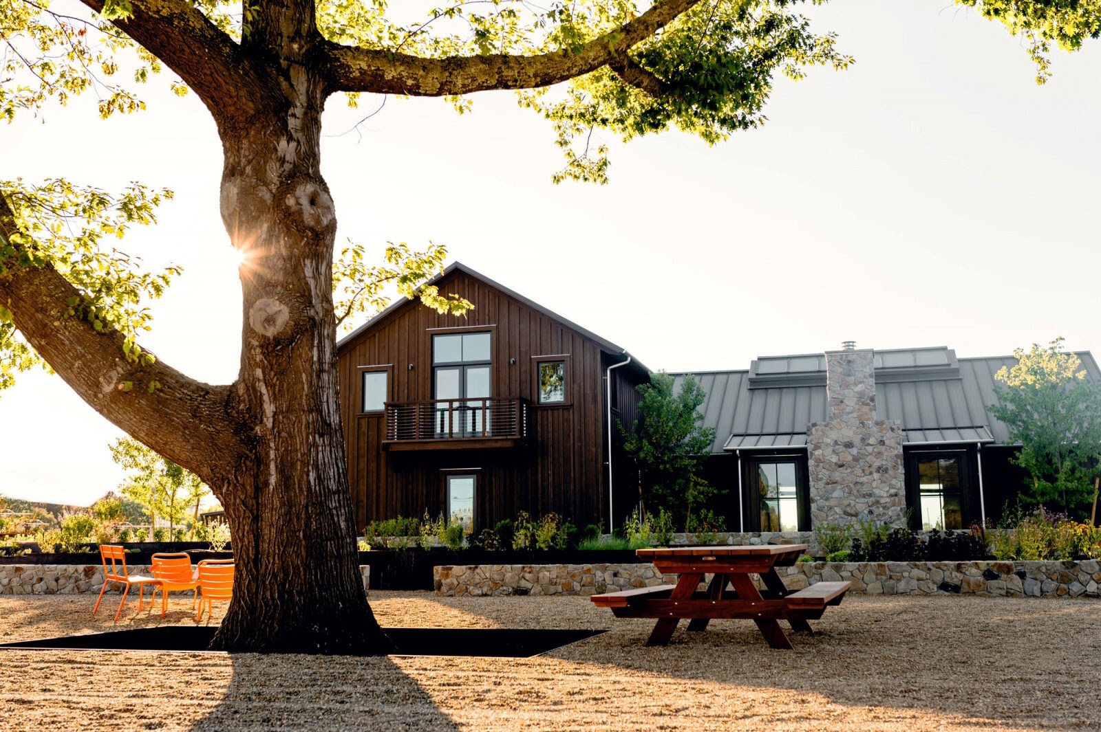 Accendo Vineyard Image 2