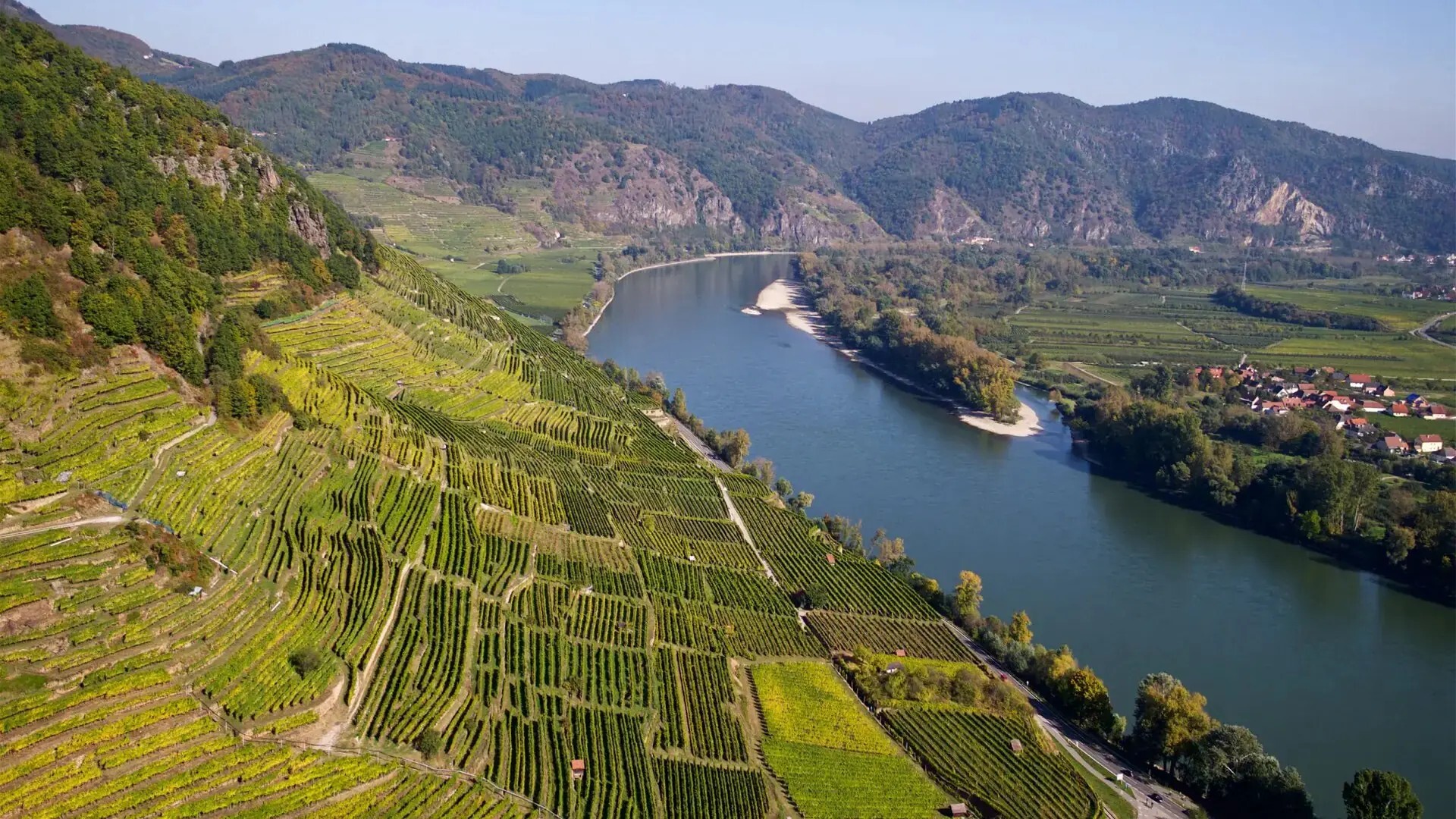 Achleiten Vineyard