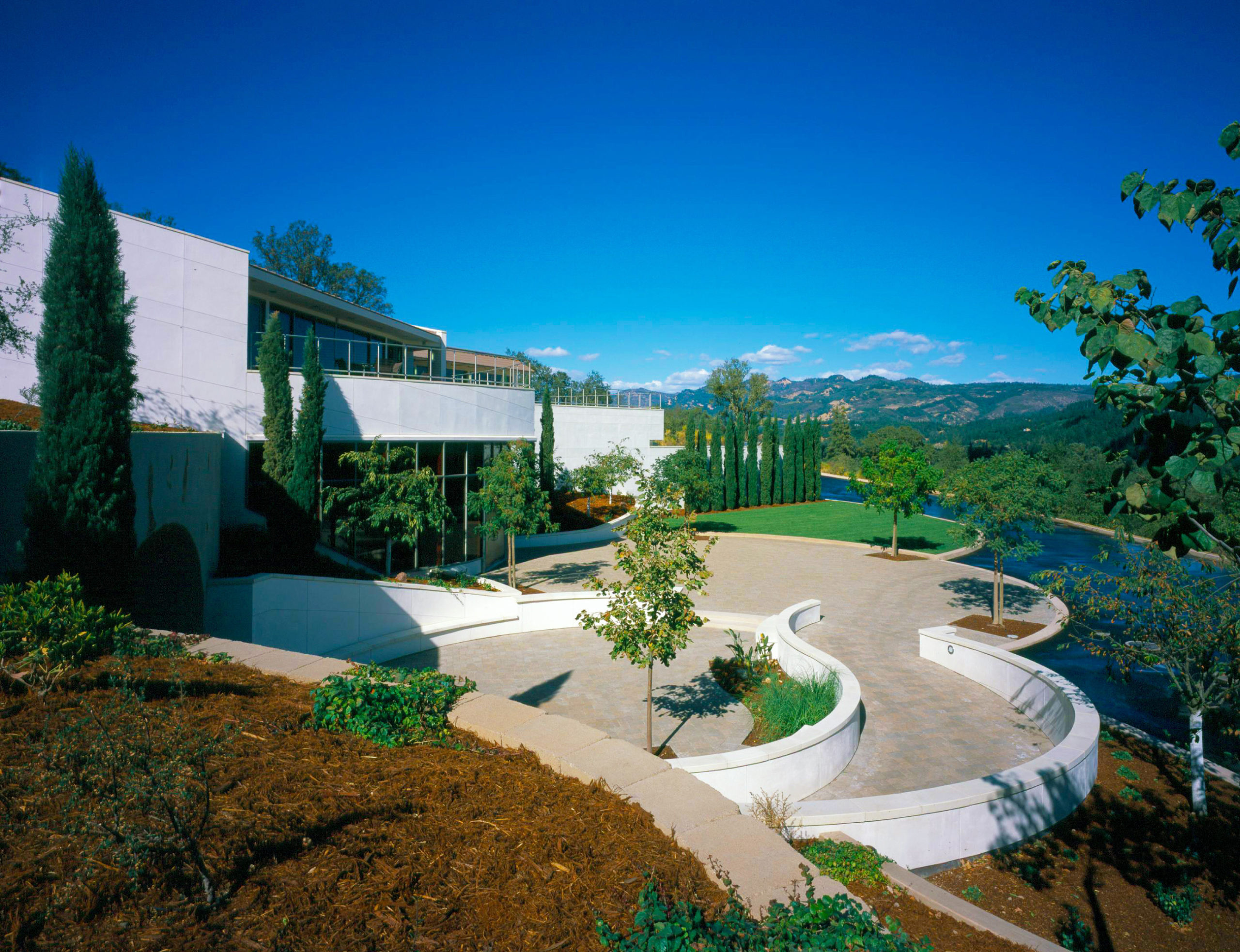 Vineyard 29 landscape