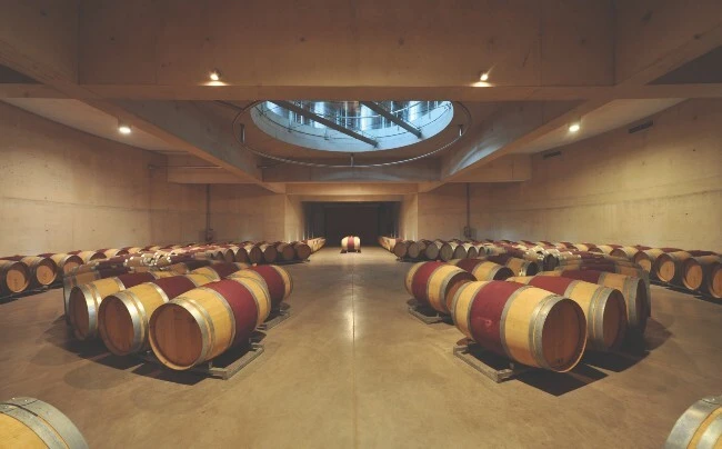 Seña cellar with rows of French oak barrels