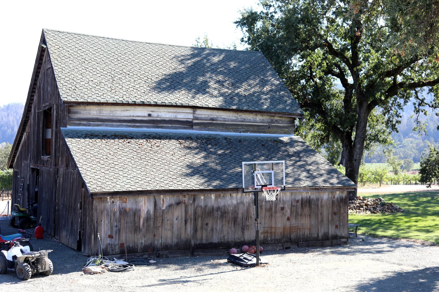 Battuello Vineyard Landscape