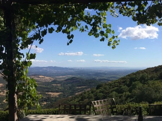 Scenic valley and hillside view from Patland Estate Vineyards