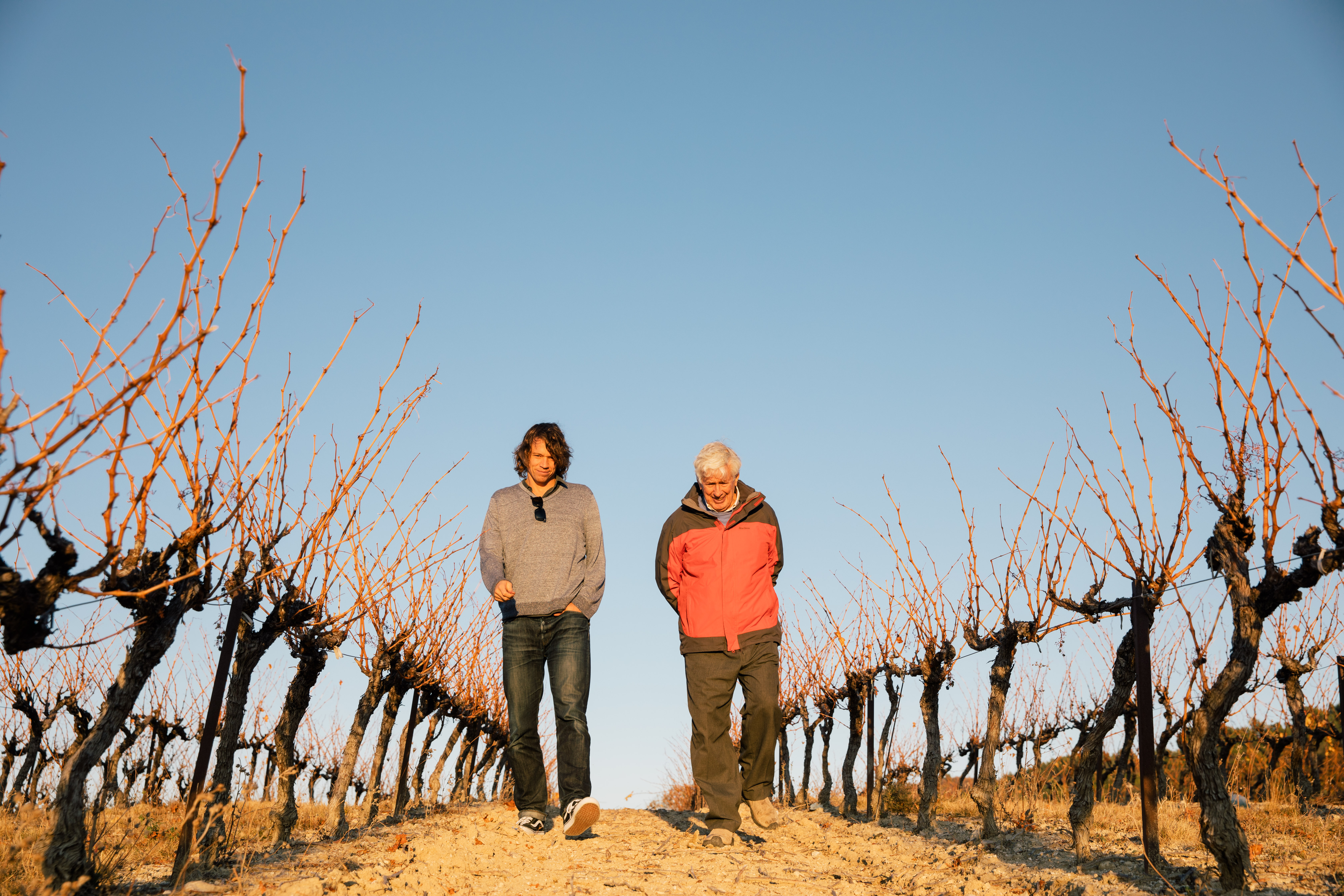 Bieler Pere et Fils vineyard in Provence