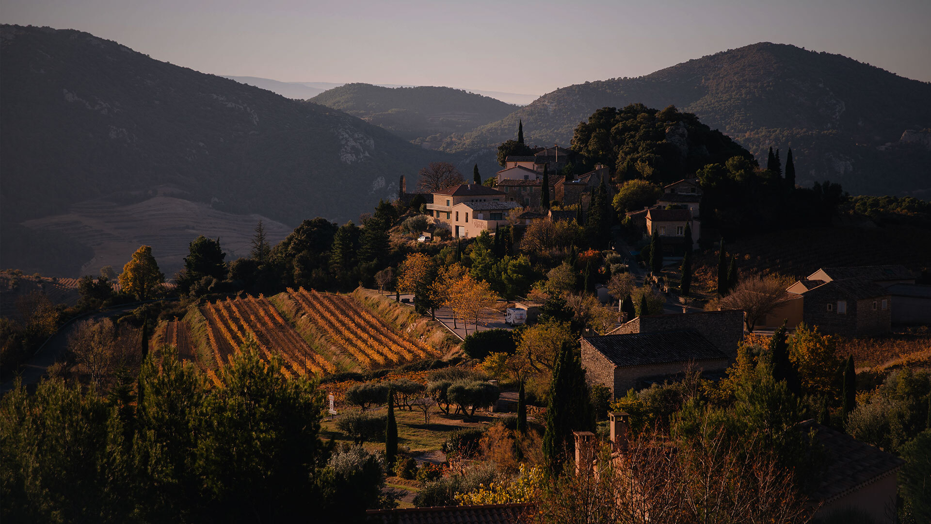 Bieler Pere et Fils cellar