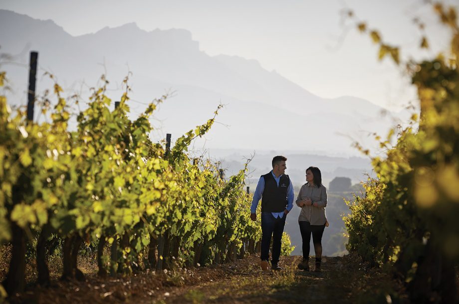 Montecillo Winemakers