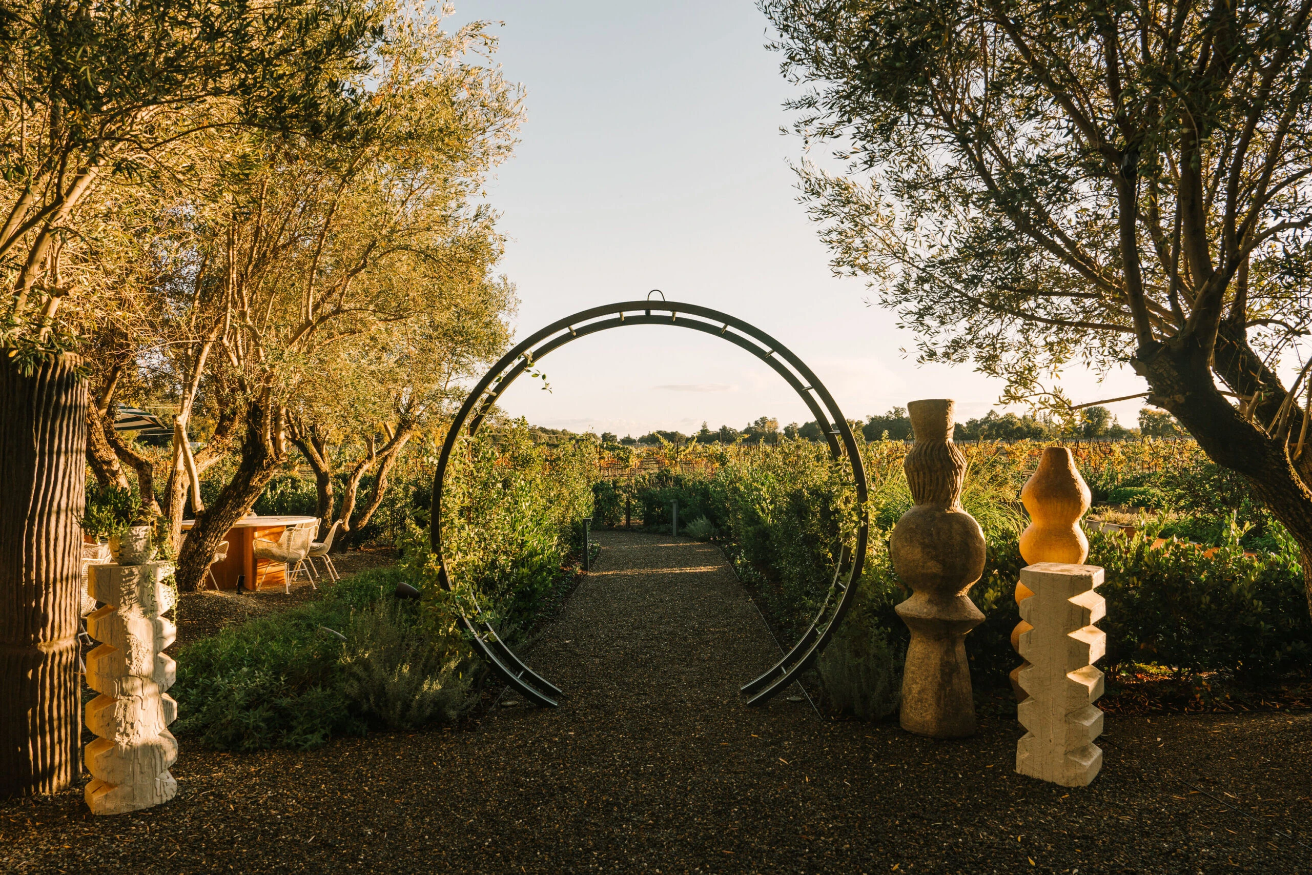 Burgess Vineyard