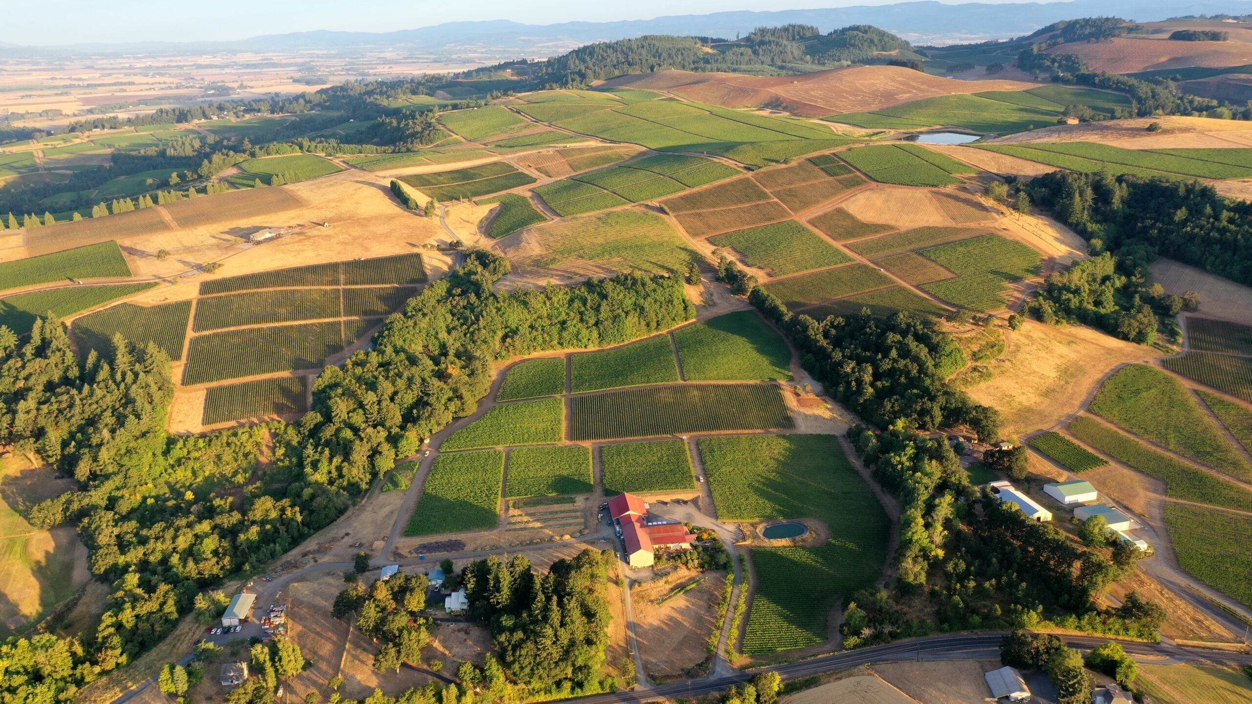 Burgundy vineyard landscape for Chassagne-Montrachet