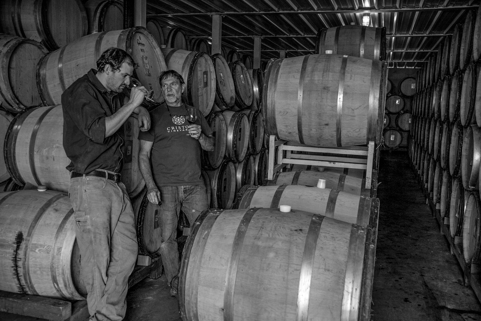 Oak barrels in a Burgundy cellar