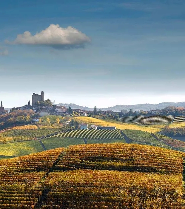 Ca' Rome Family Legacy