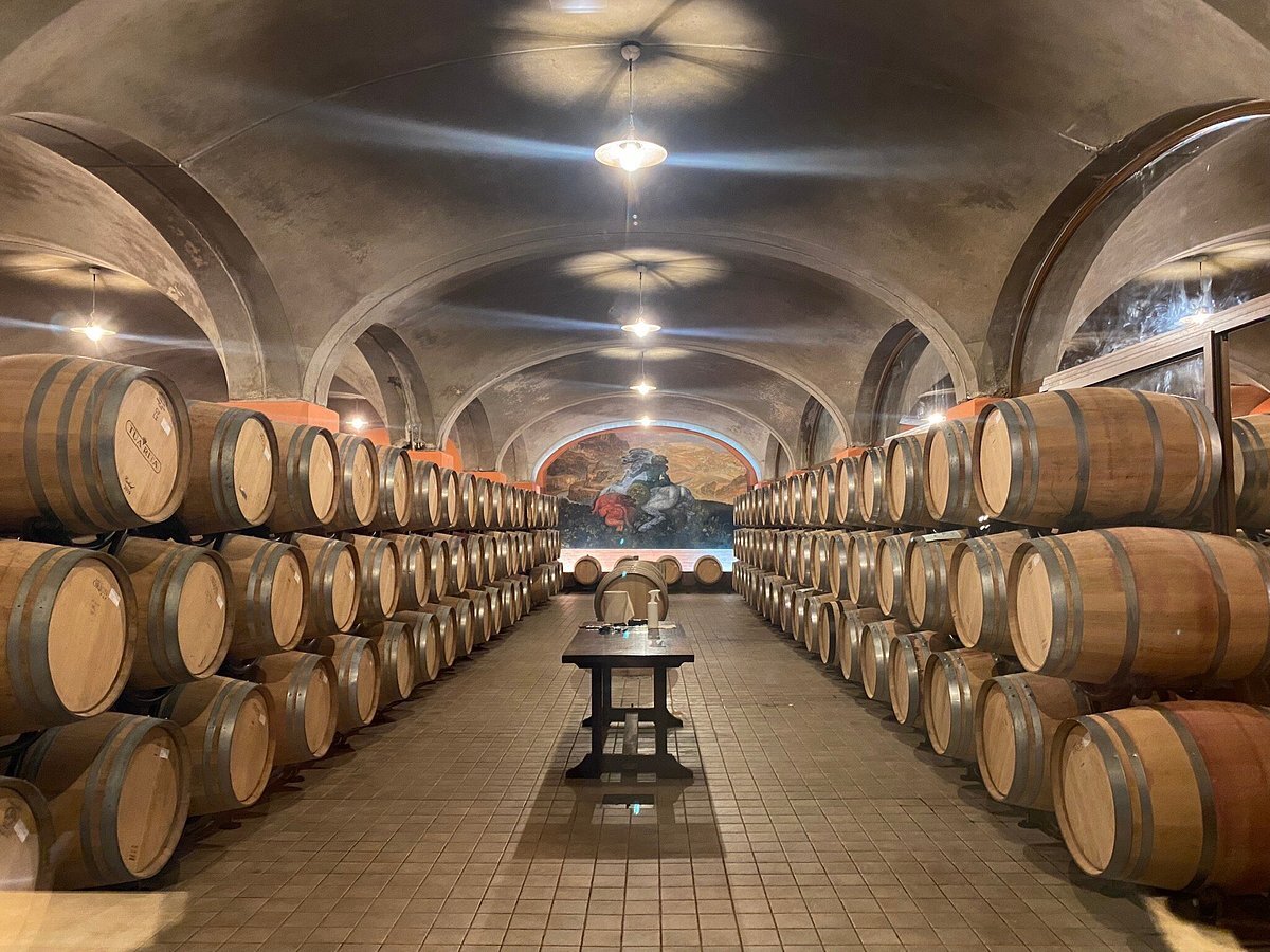 Tua Rita Vineyard