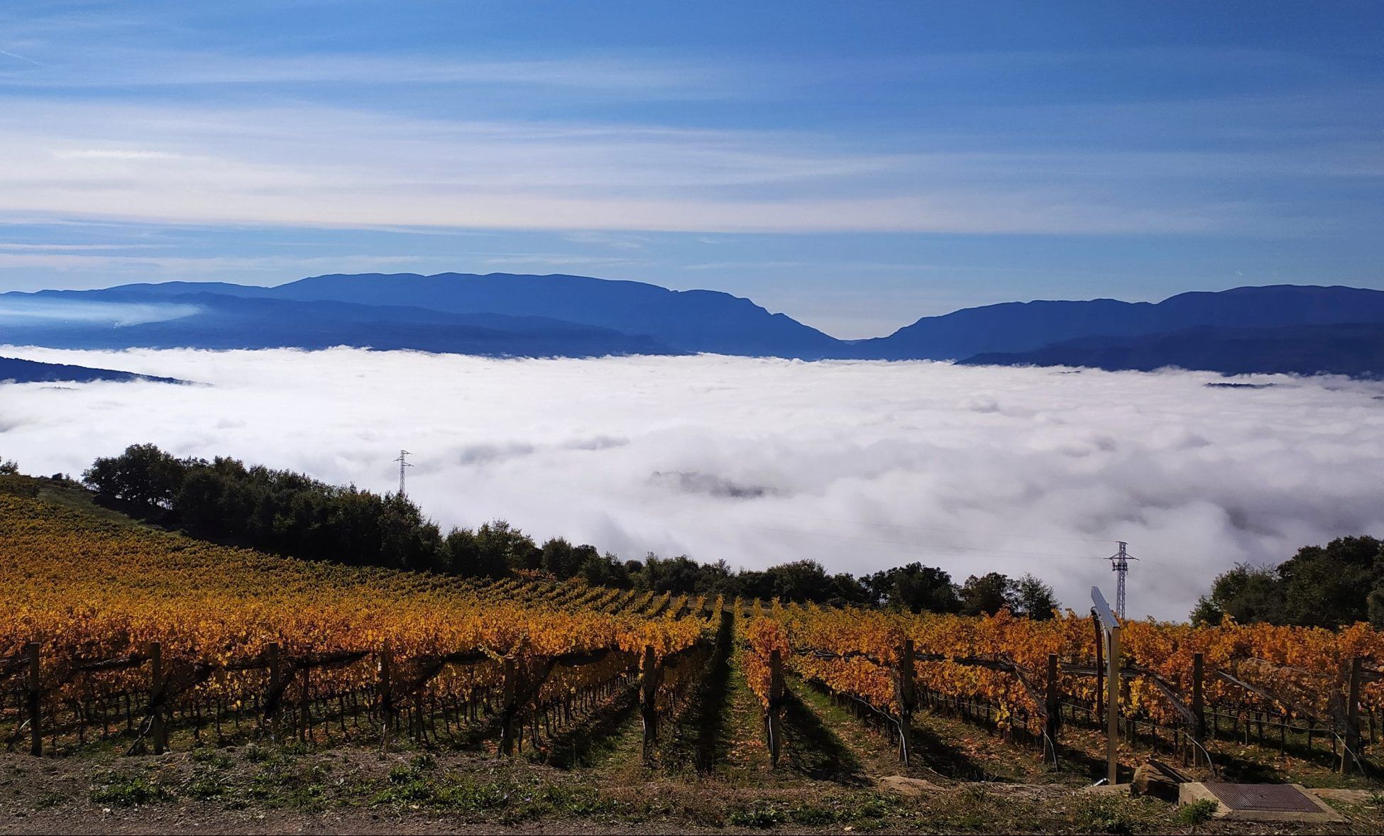 Castell d'Encus Stone Lagars