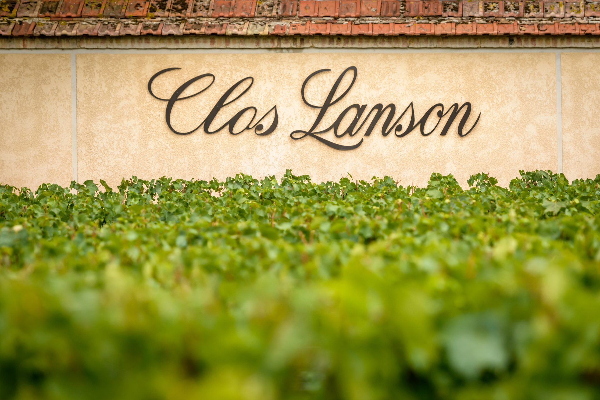 Clos Lanson Vineyard