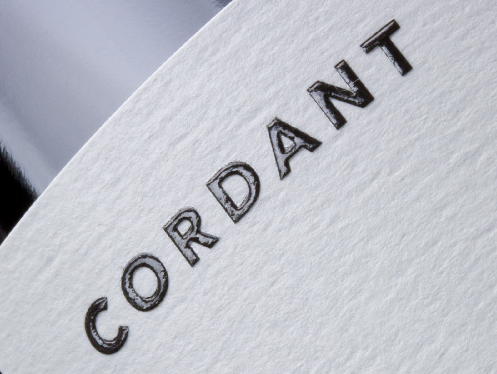 Bien Nacido vineyard view