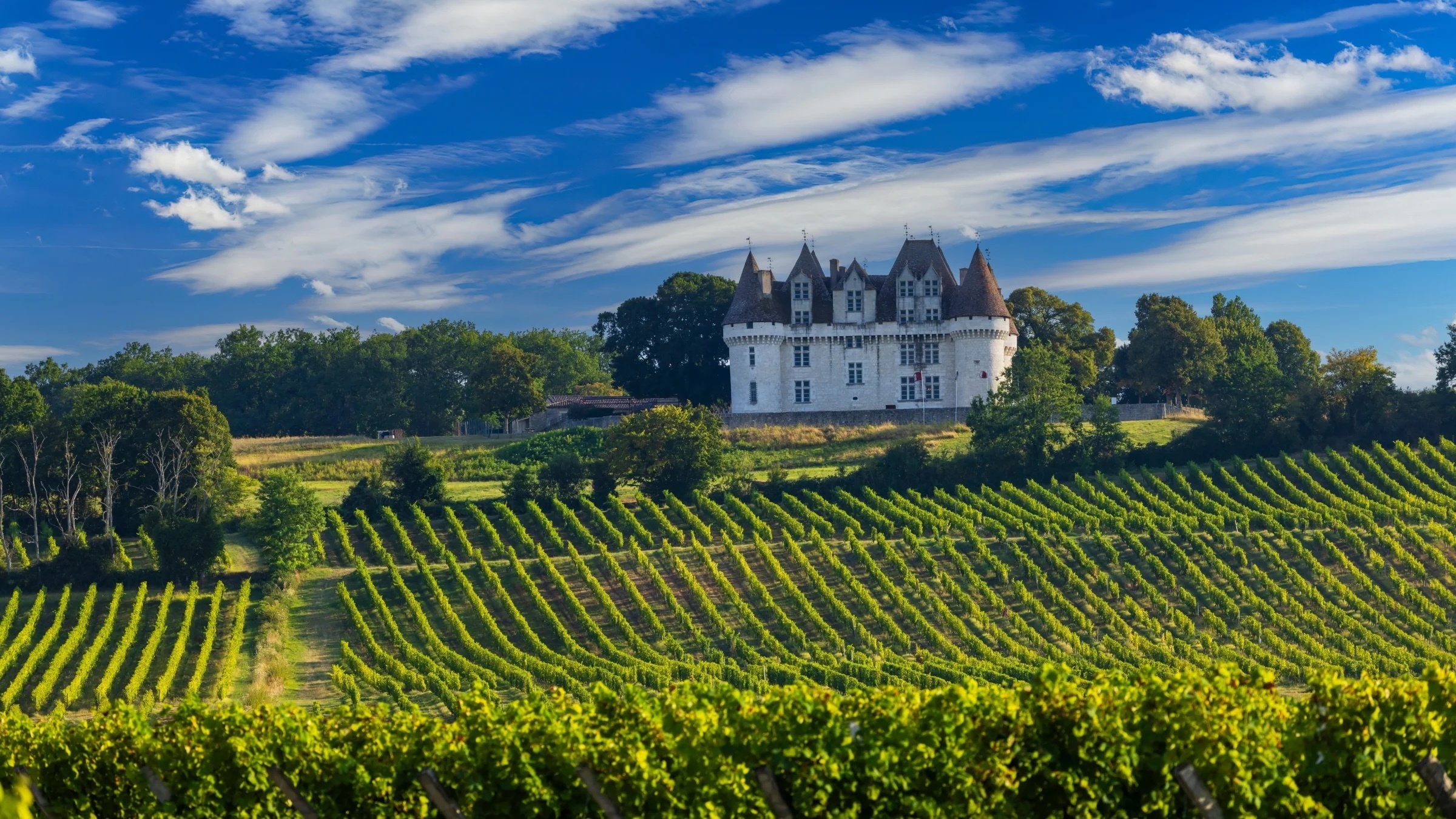 Chateau Tirecul Vineyard