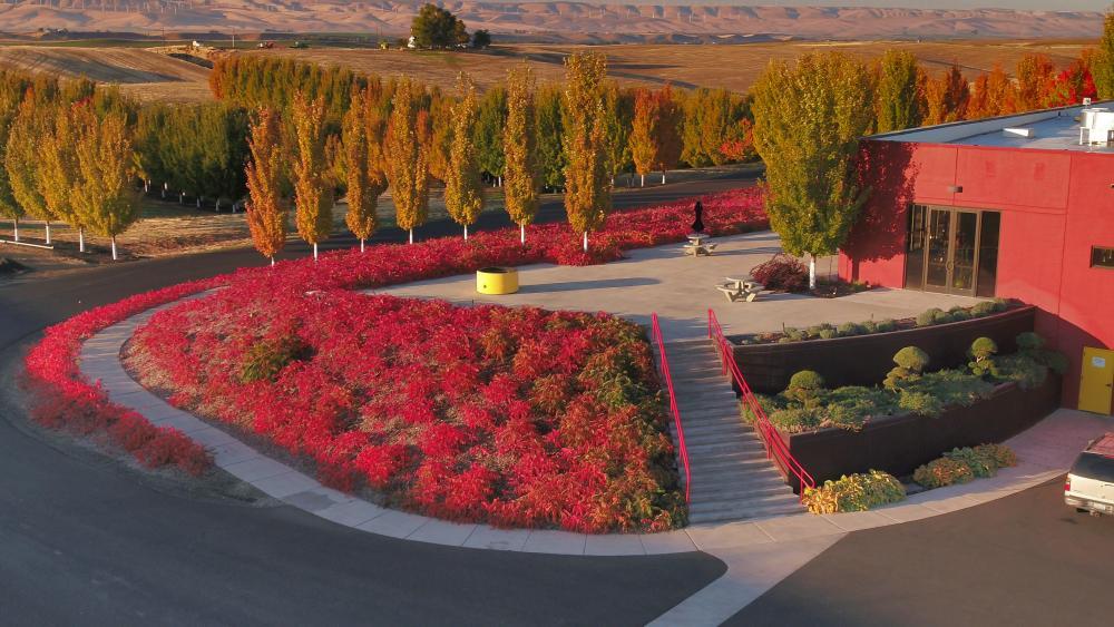 Columbia Valley vineyard
