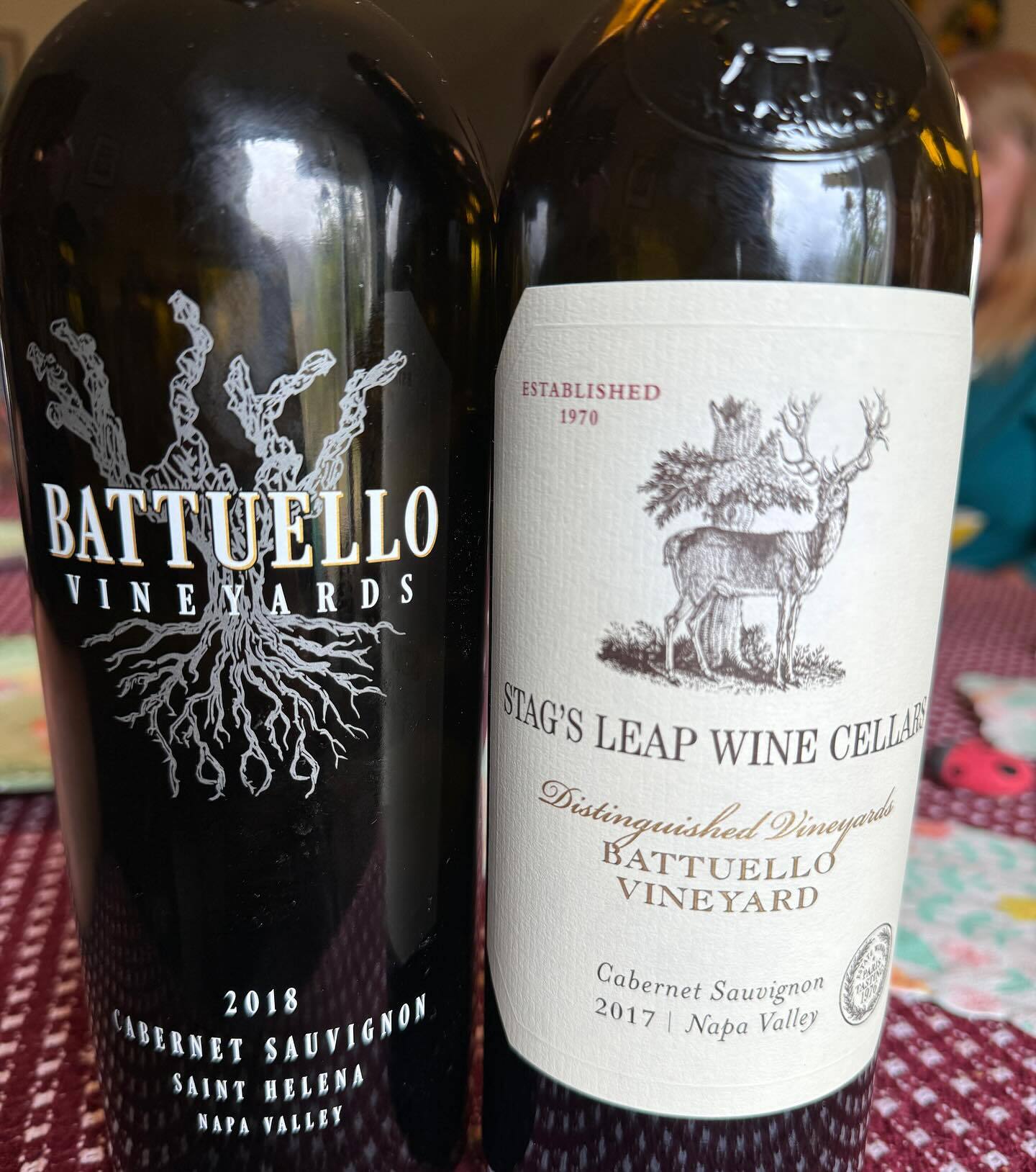 Battuello Vineyard View