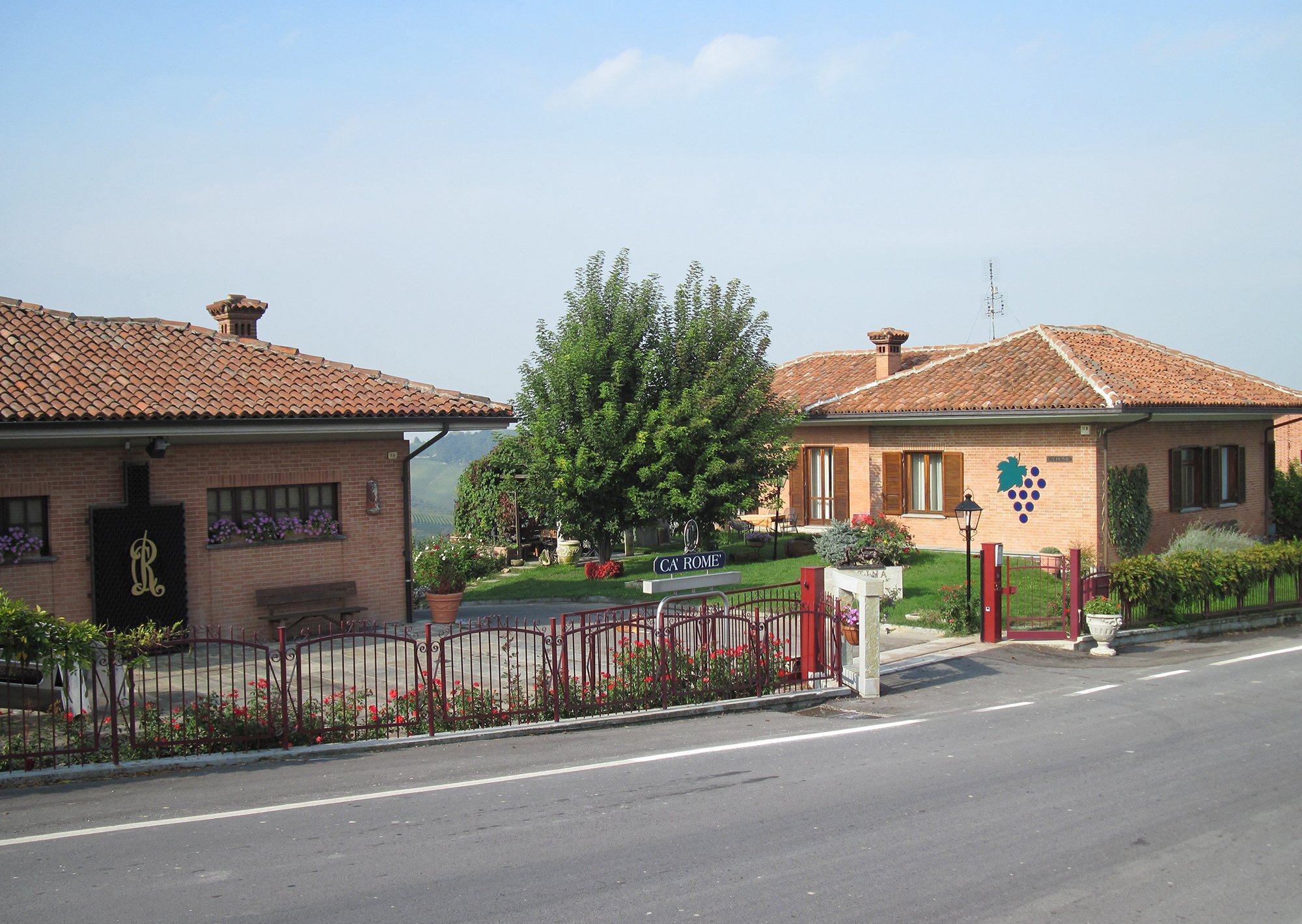Ca' Rome Vineyard