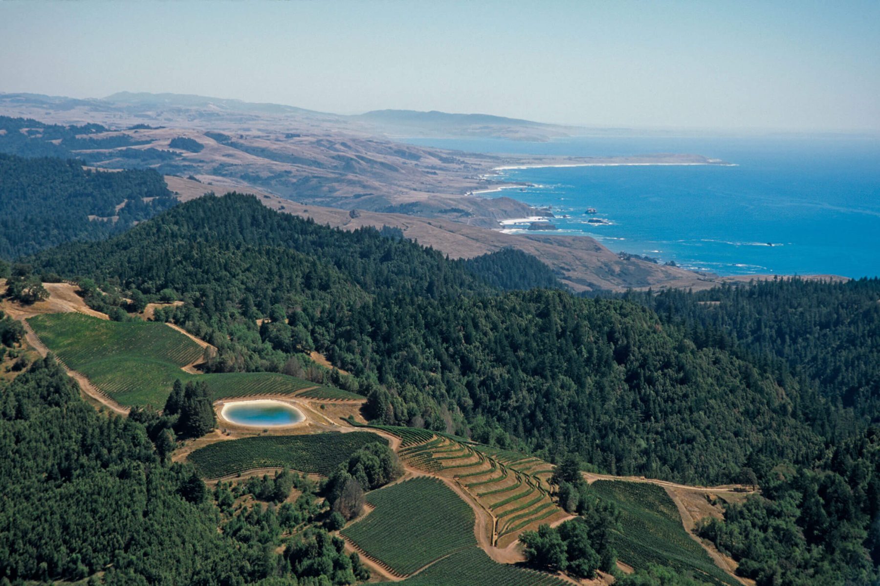 Fort Ross Vineyard aerial view