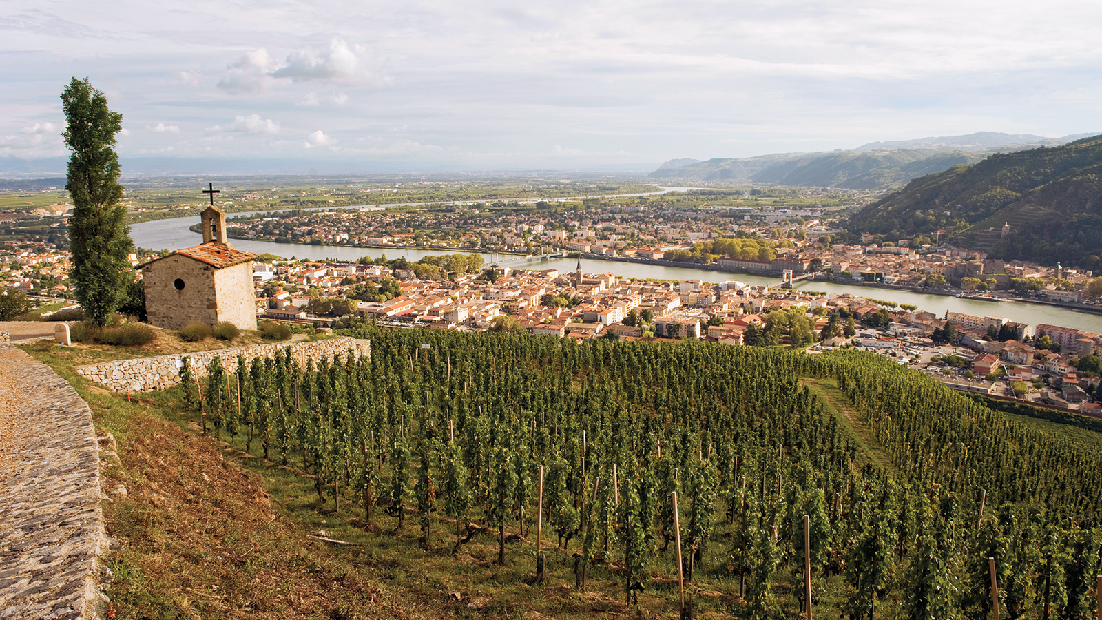 Ferraton Vineyard