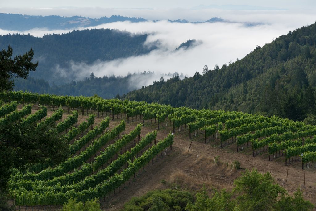 Fort Ross Cellars