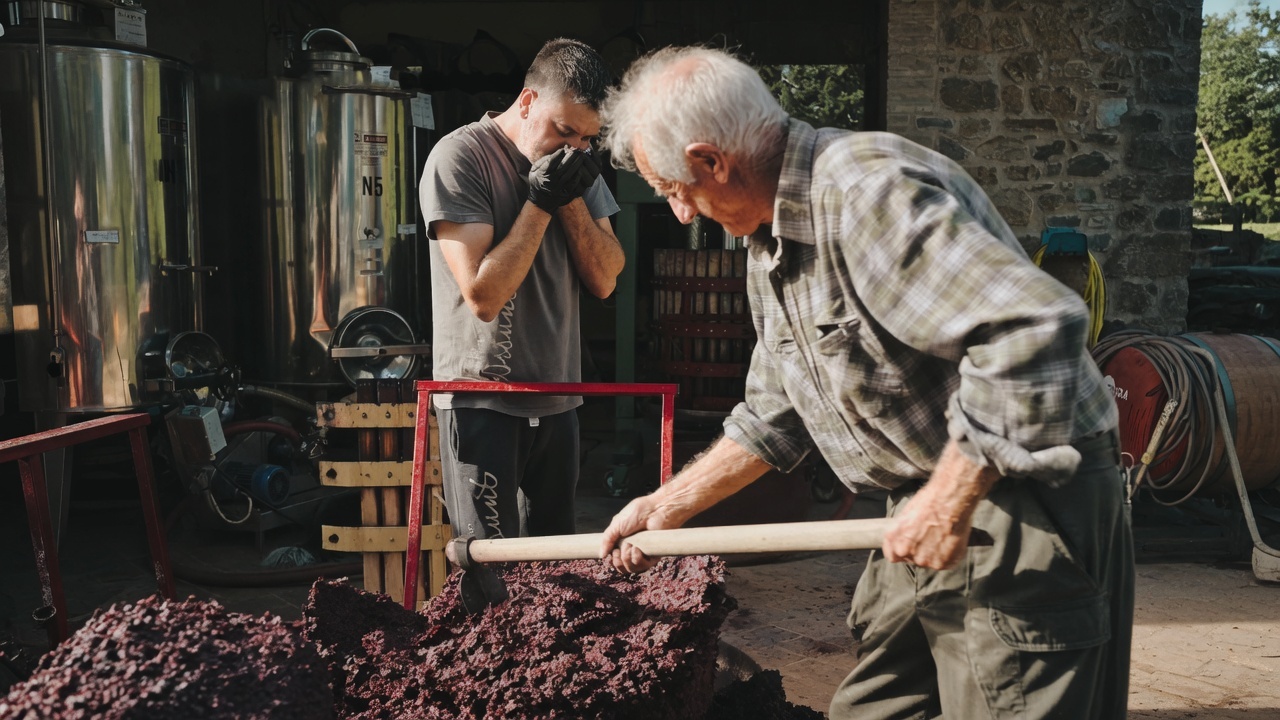 Brunello tasting scene with cherry, violet and Tuscan herbs