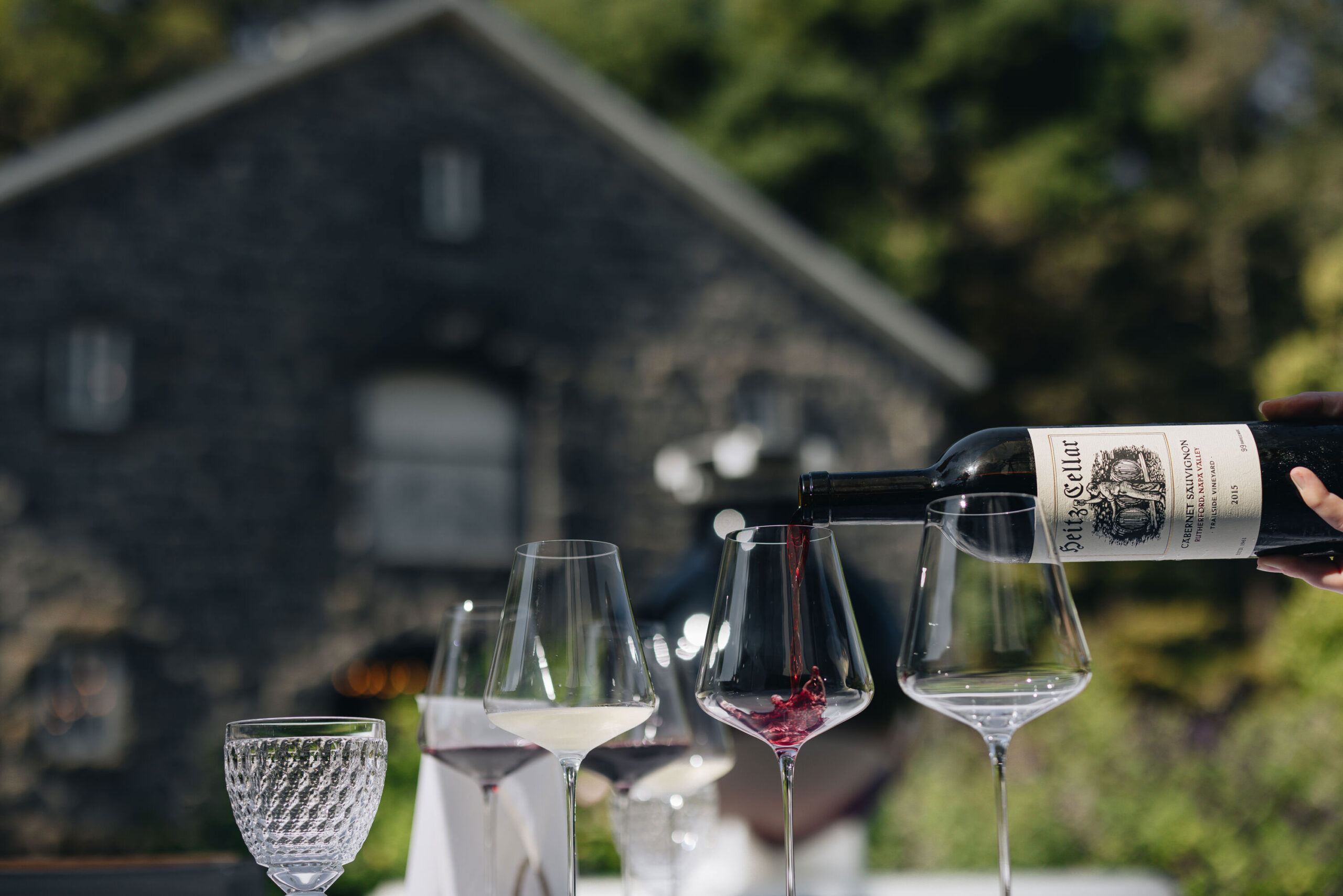 Cabernet tasting profile visual