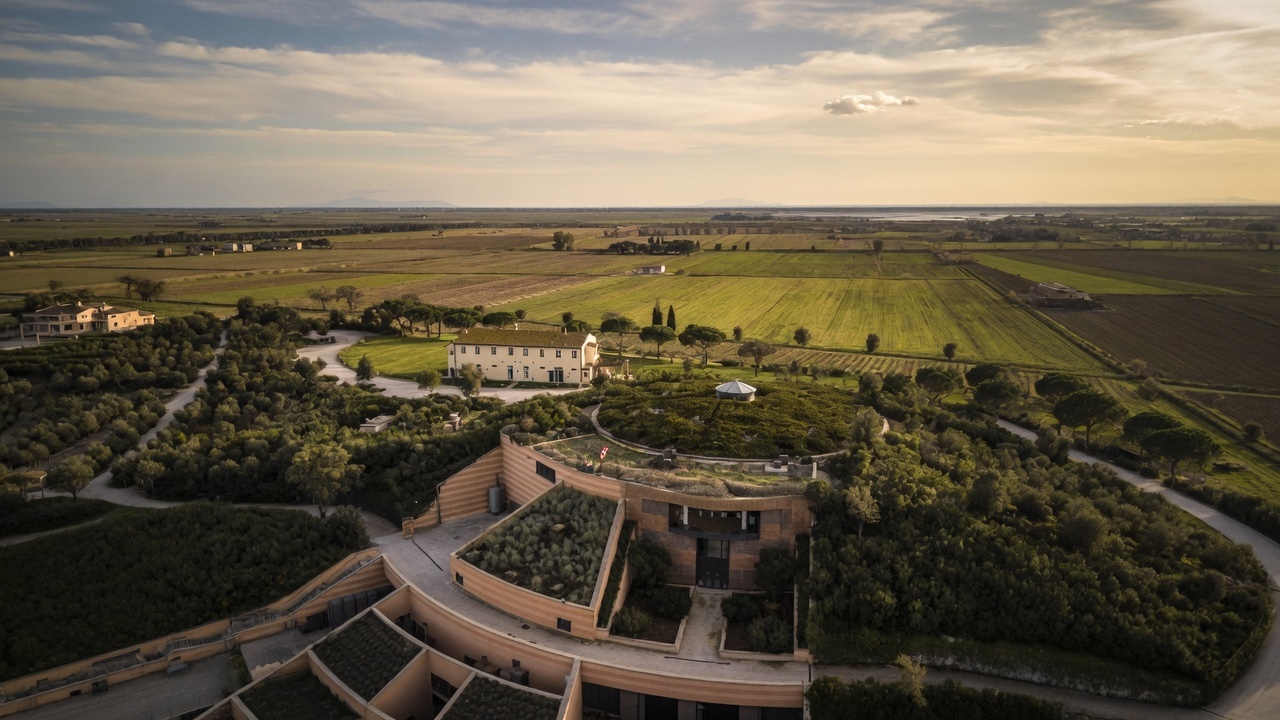 Aerial vineyard and estate landscape