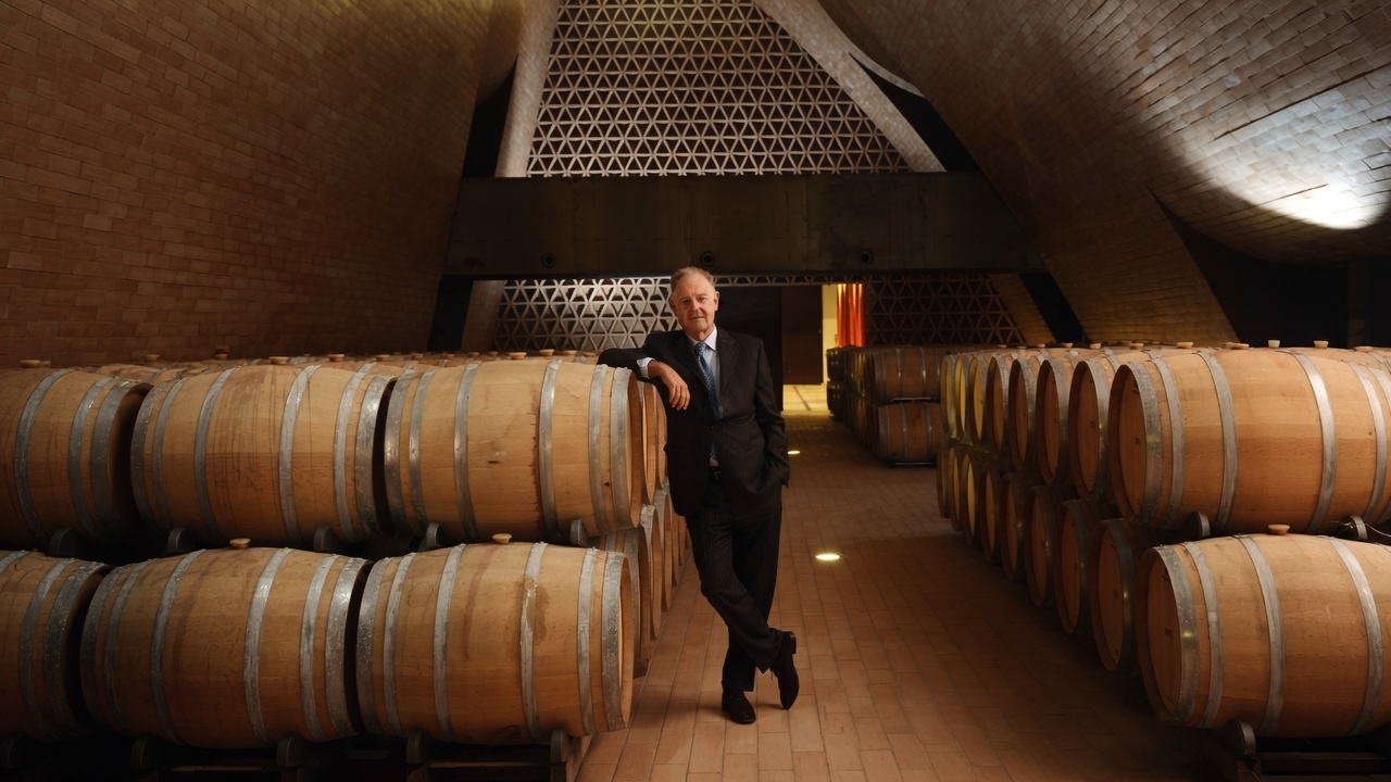 Barrel cellar with rows of oak barriques