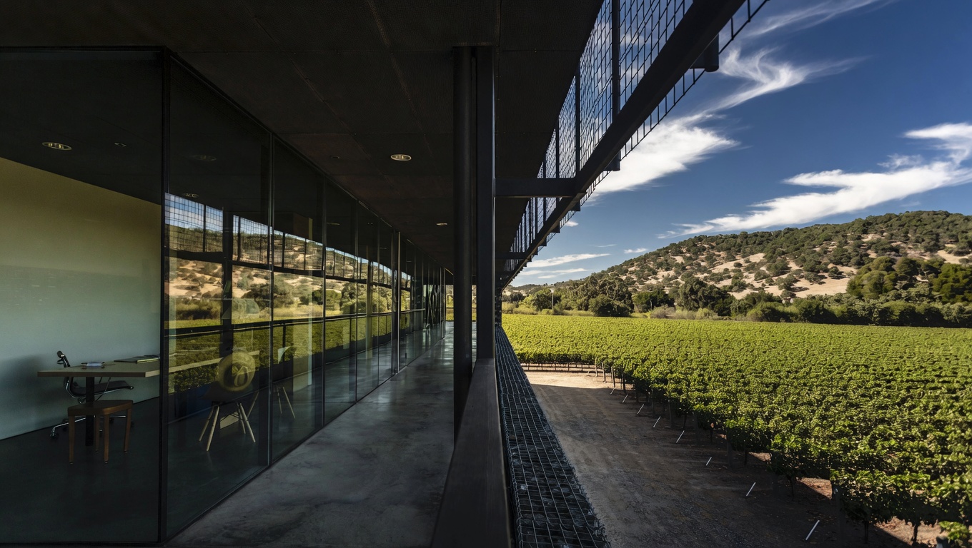 Dominus Estate architecture and vineyard context