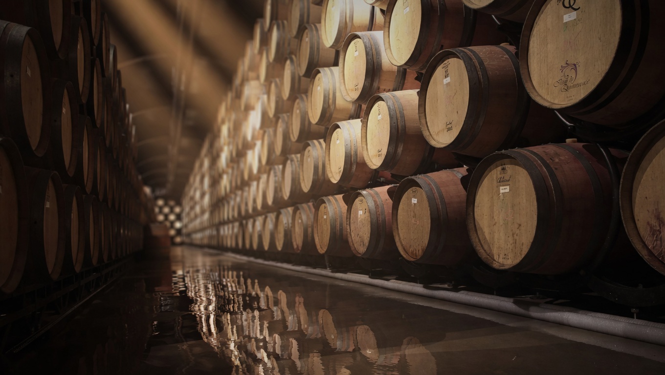 Premium wine cellar and barrel aging scene
