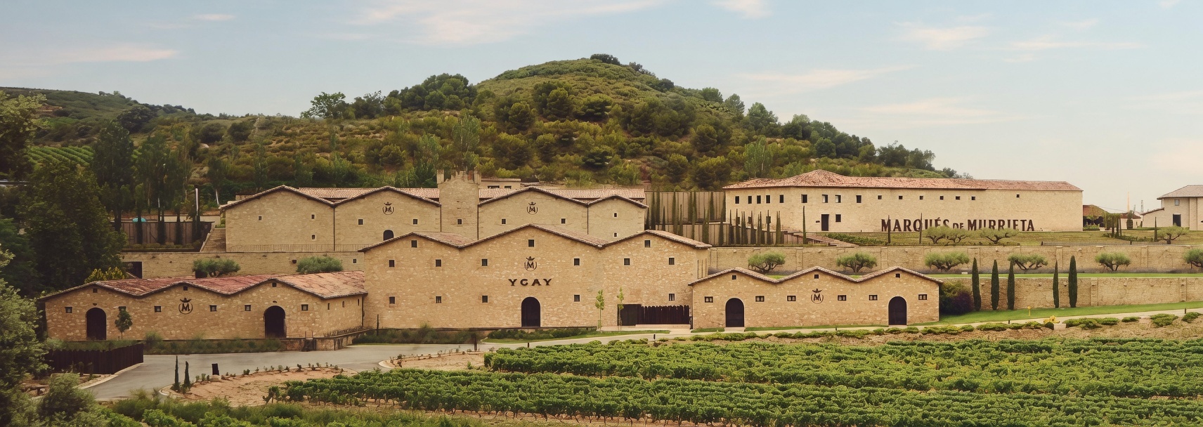 Castillo Ygay Rioja tasting profile visual