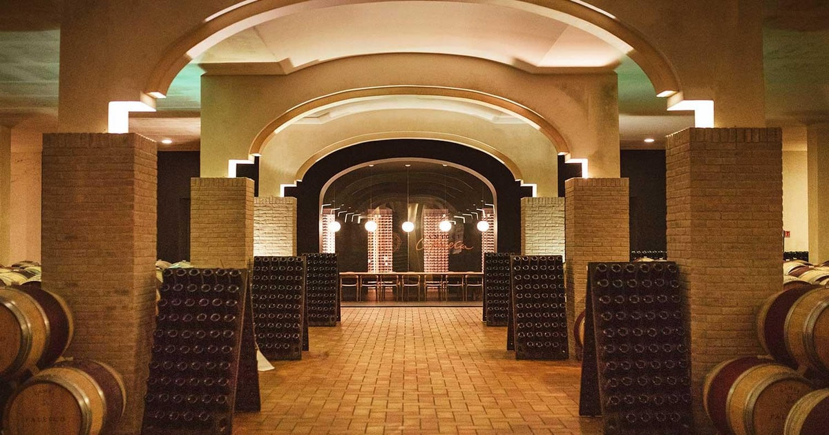Cellar and winemaking atmosphere for premium Italian red wine