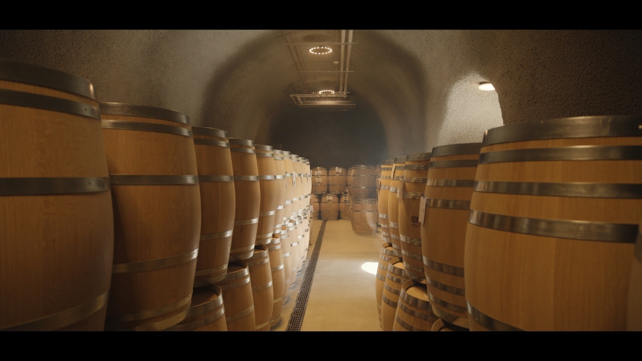 Barrels aging in a Napa Valley wine cellar