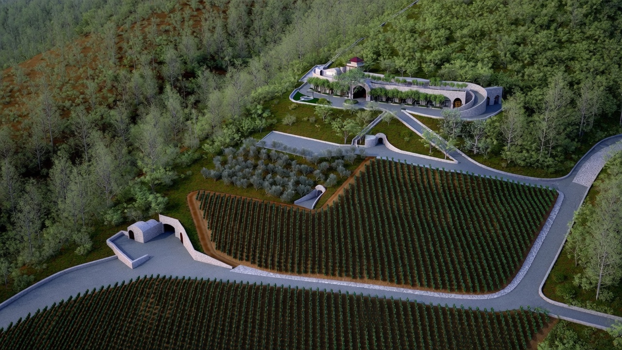 Palmaz-inspired Napa estate setting for Cedar Knoll Cabernet